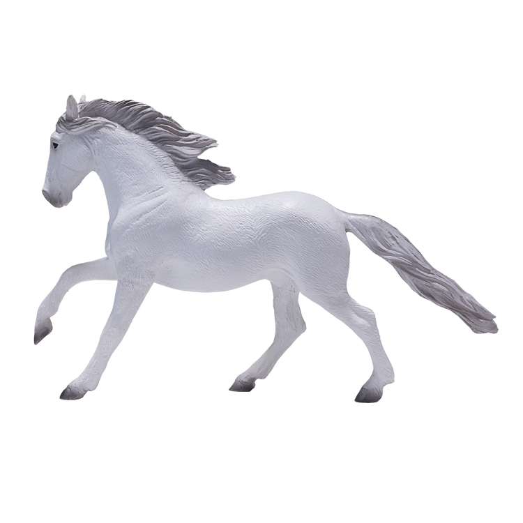 Lusitano Grey