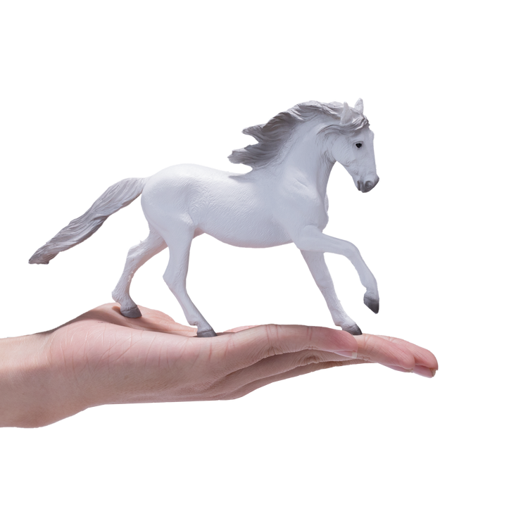Lusitano Grey