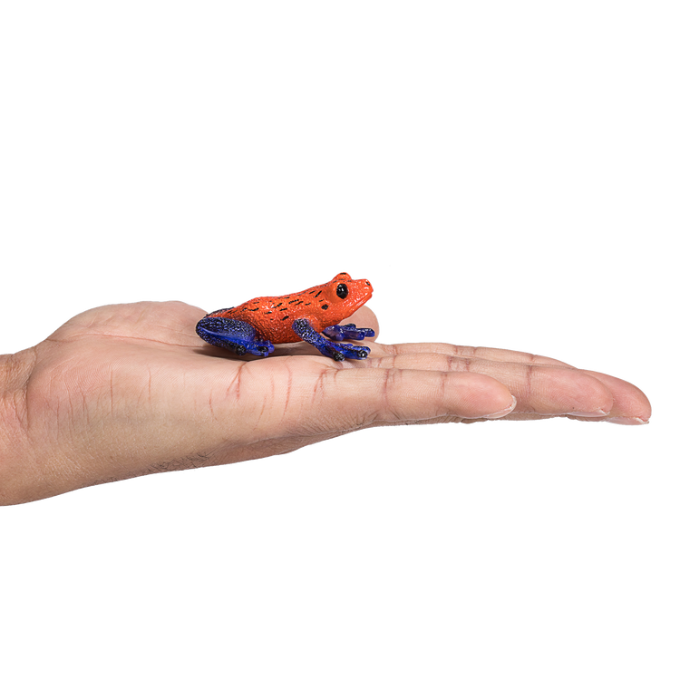 Poison Dart Tree Frog