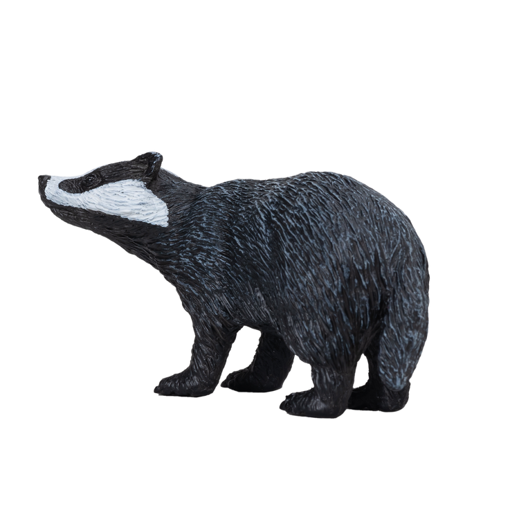 Badger