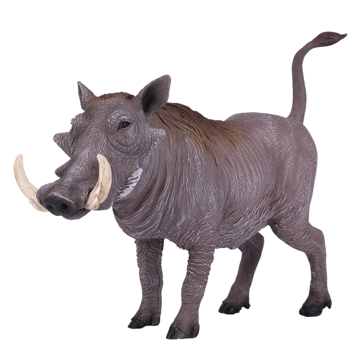 Warthog