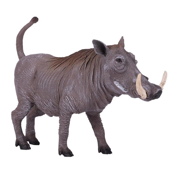 Warthog