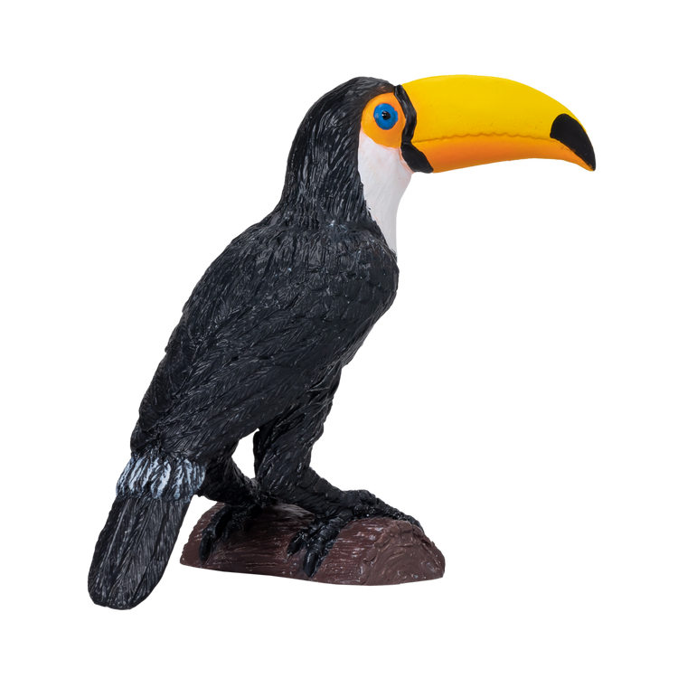 Toucan