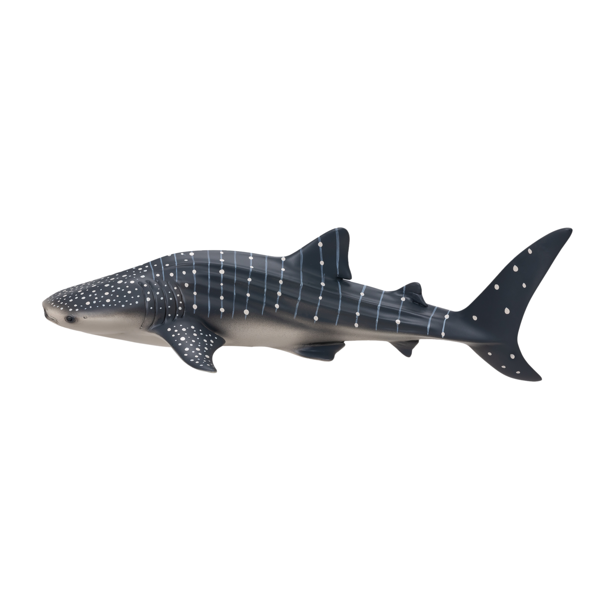 381038_Whale_Shark_1.png?v=