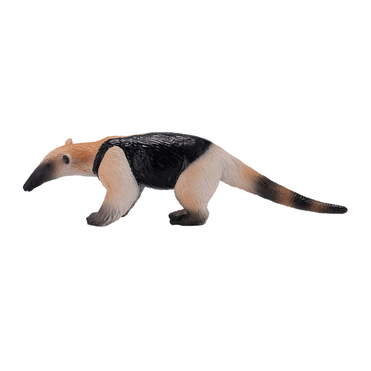 Tamandua