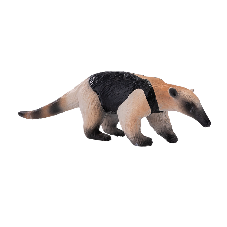 Tamandua