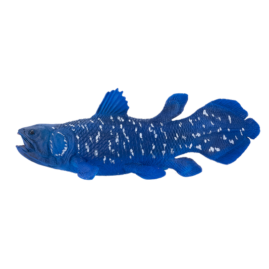 Coelacanth