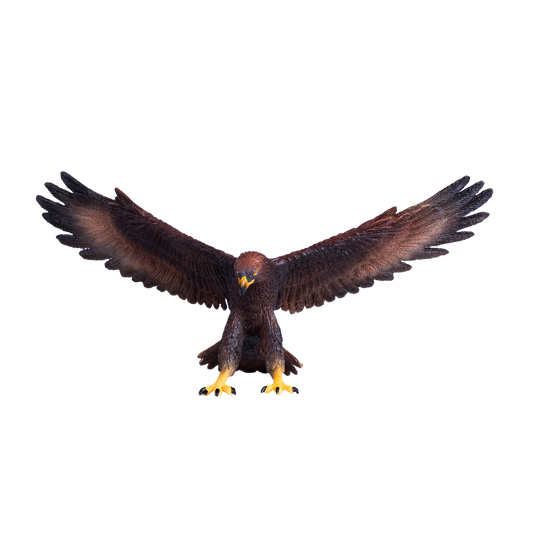 Golden Eagle