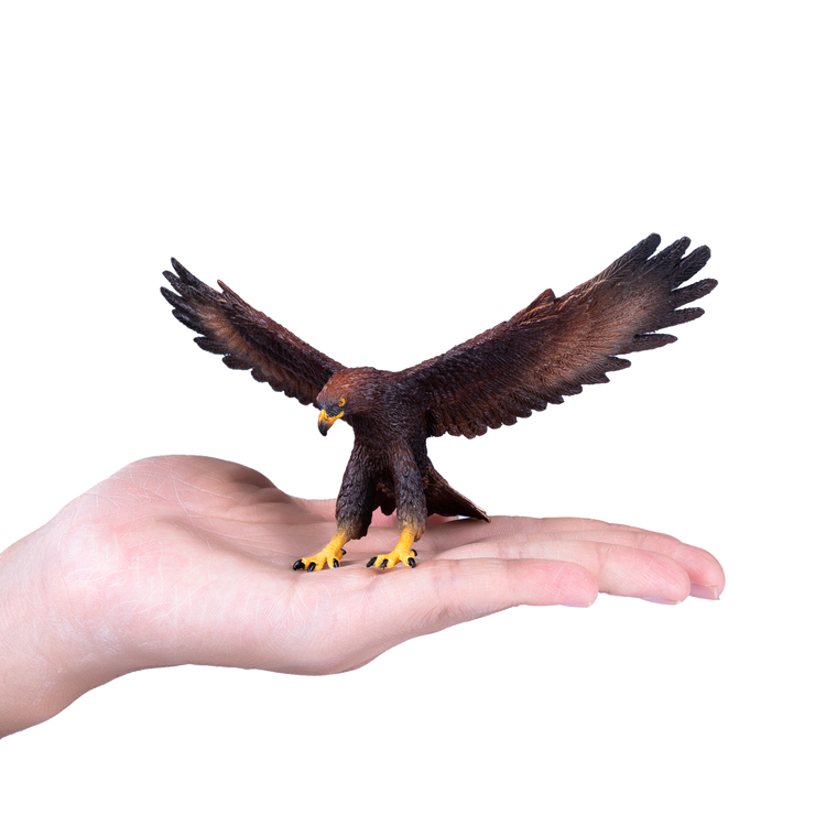 Golden Eagle