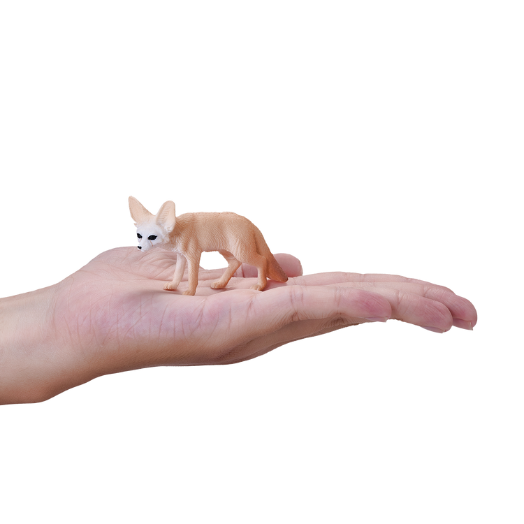 Fennec Fox