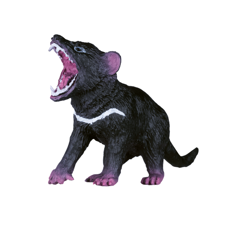 Tasmanian Devil