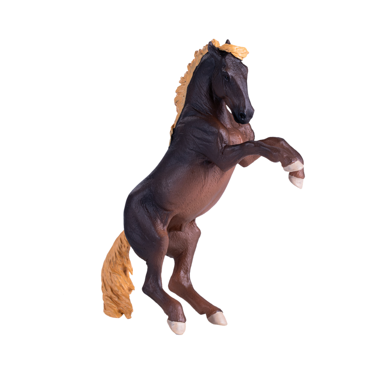 Brumby Stallion