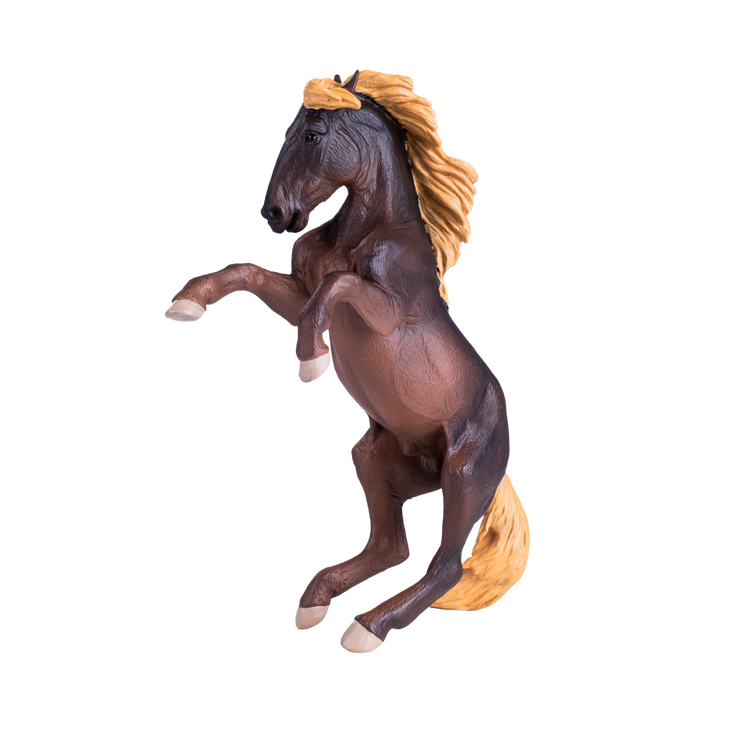 Brumby Stallion