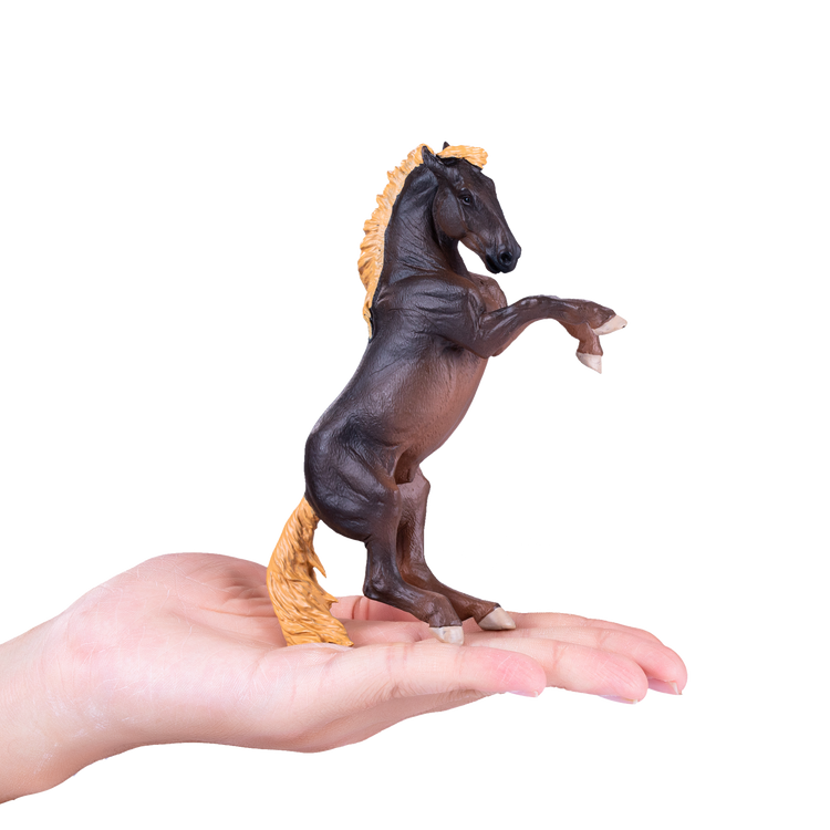 Brumby Stallion
