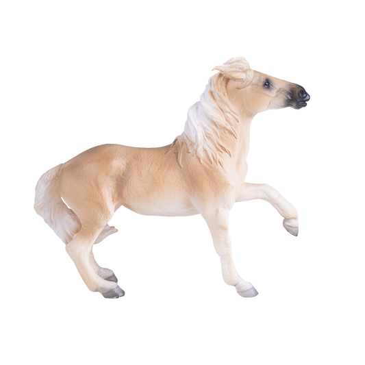 Brumby Mare
