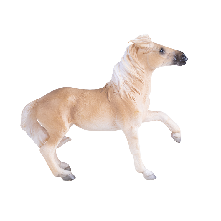 Brumby Mare