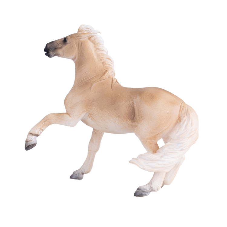 Brumby Mare