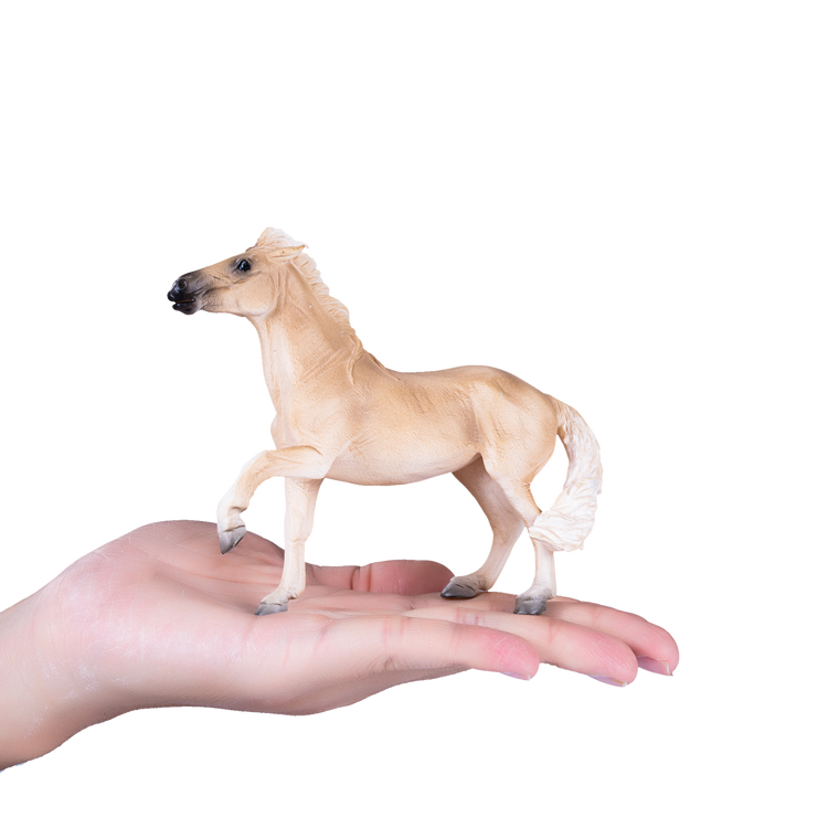 Brumby Mare
