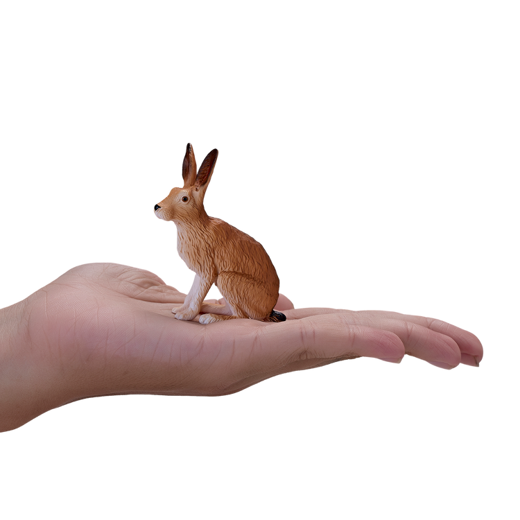 Hare
