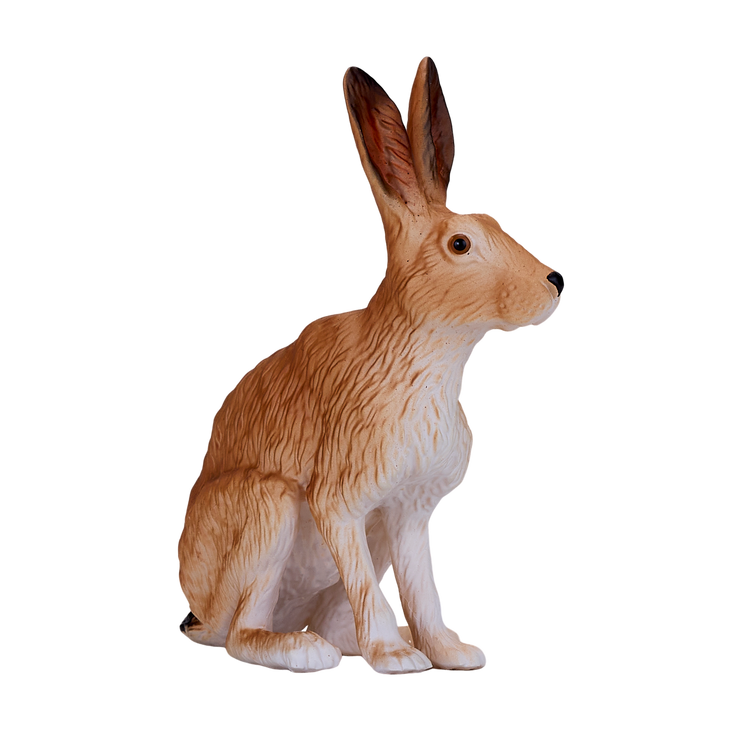 Hare