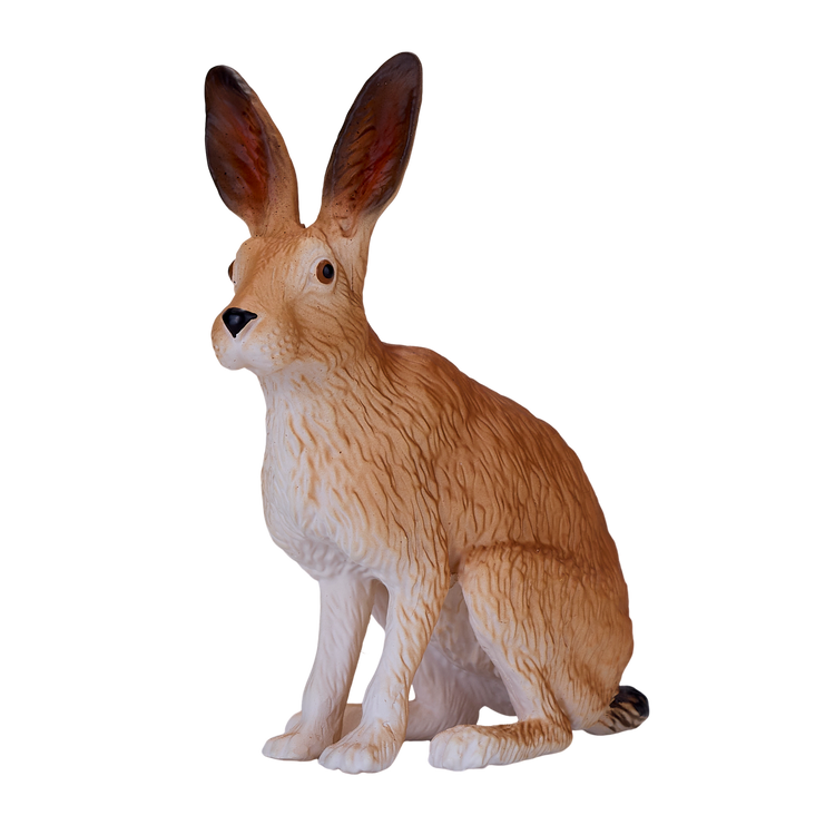 Hare
