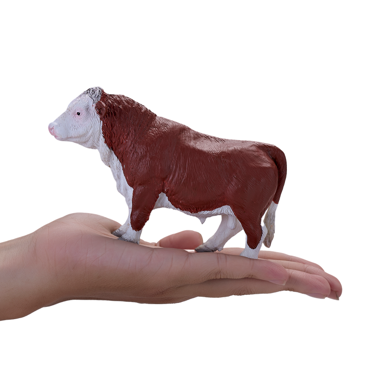 Hereford Bull