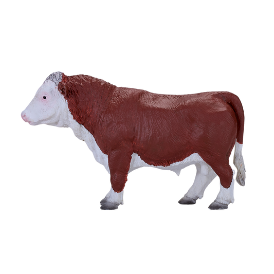 Hereford Bull