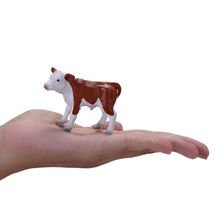 Hereford Calf