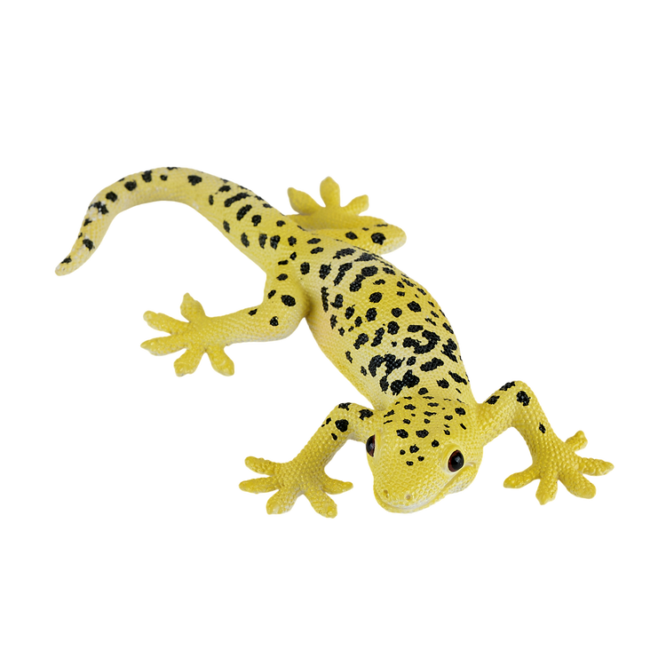Leopard Gecko