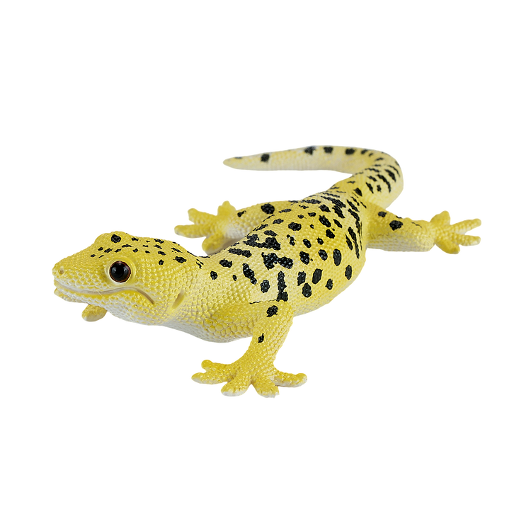 Leopard Gecko