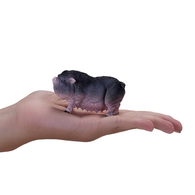 Pot Bellied Pig