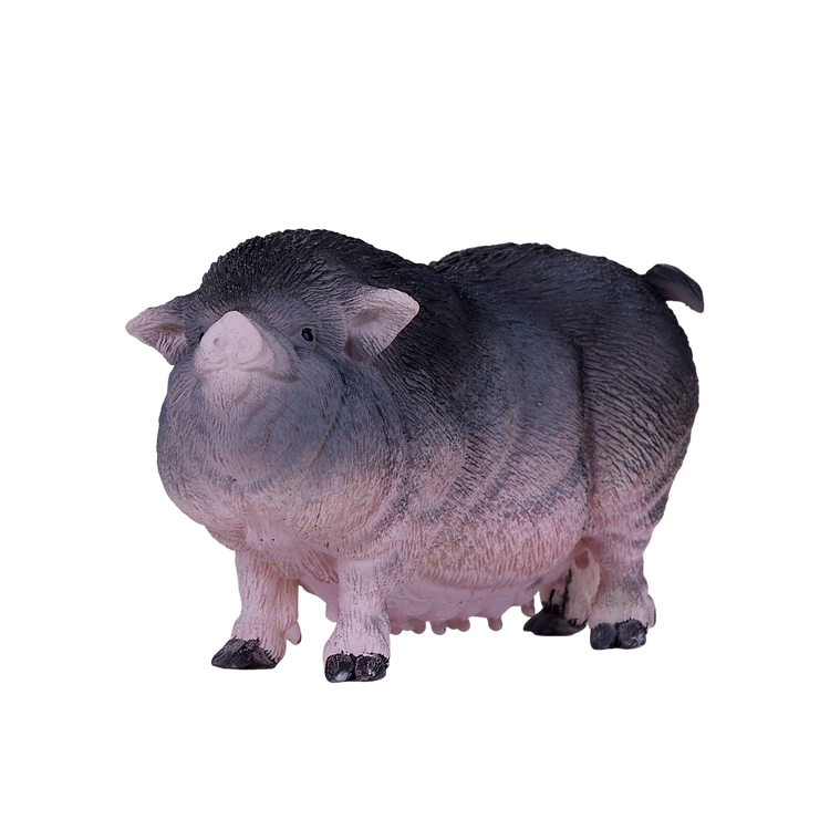Pot Bellied Pig
