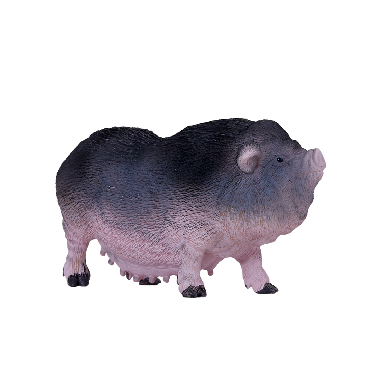 Pot Bellied Pig