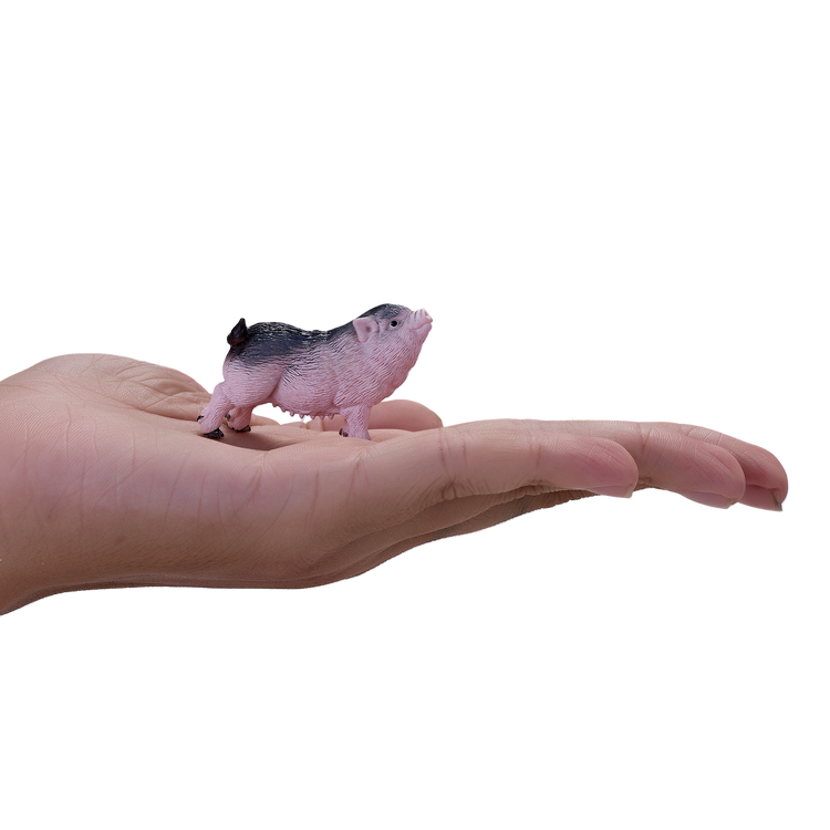 Pot Bellied Piglet