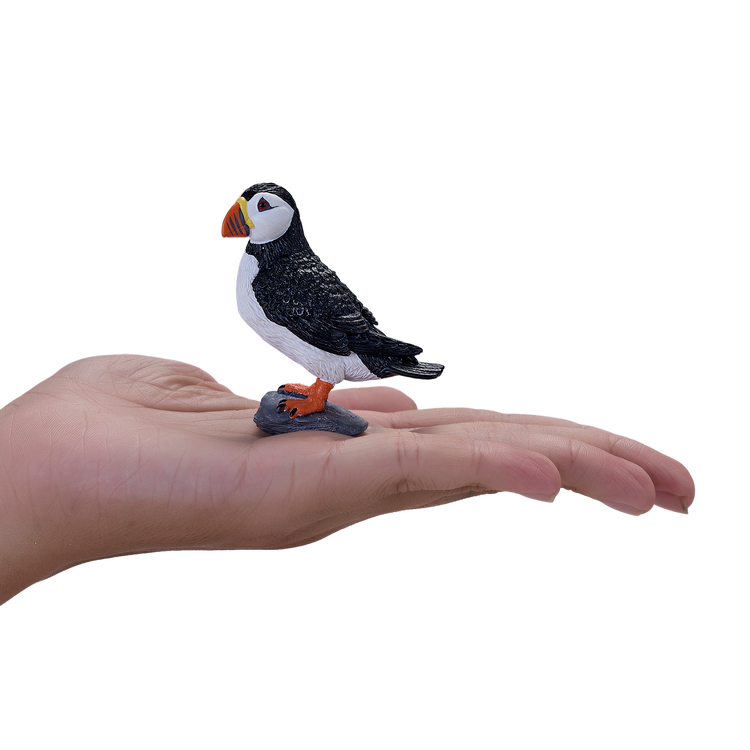 Atlantic Puffin