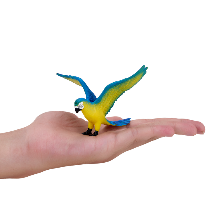 Blue Macaw Parrot