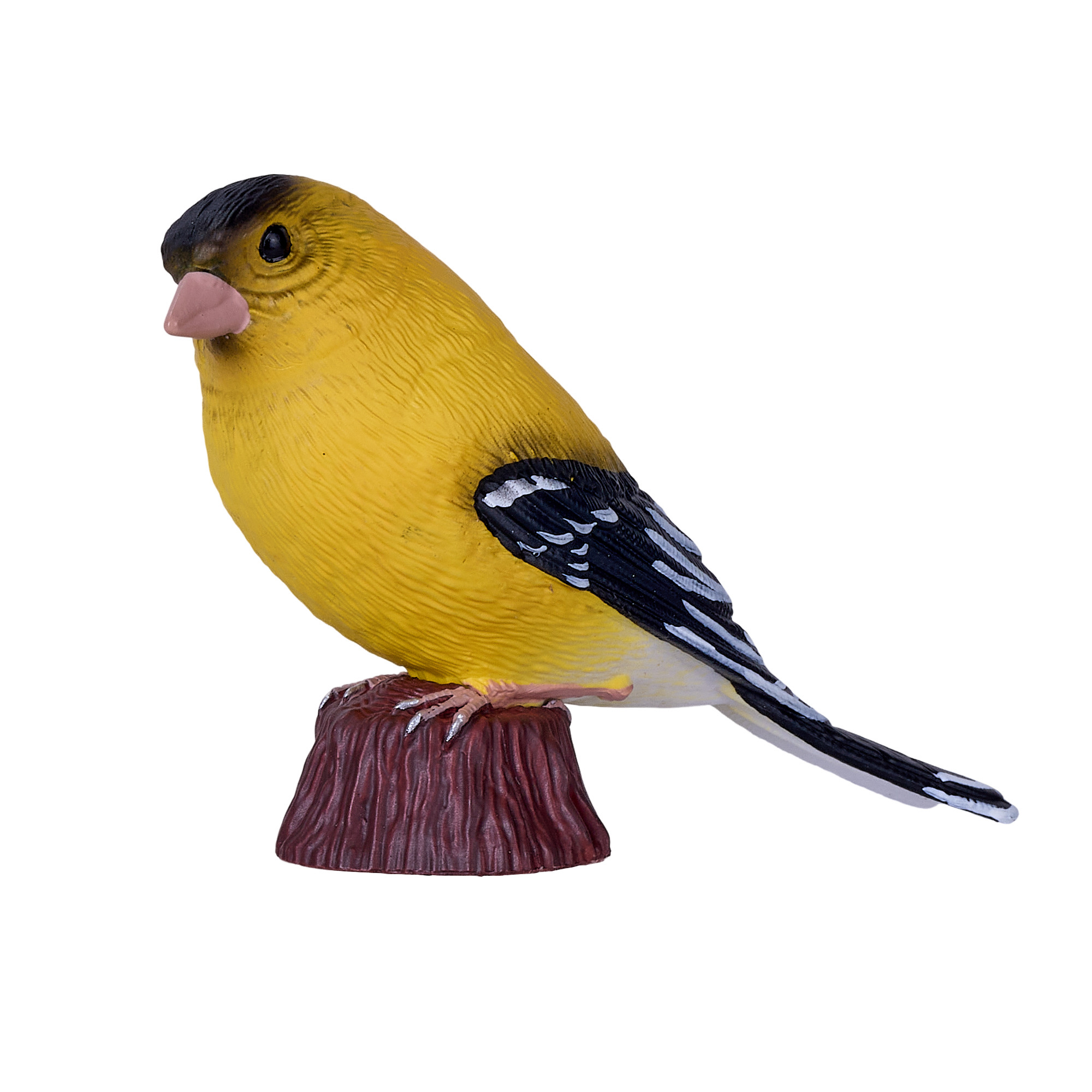 381111_American_Goldlfinch_1.