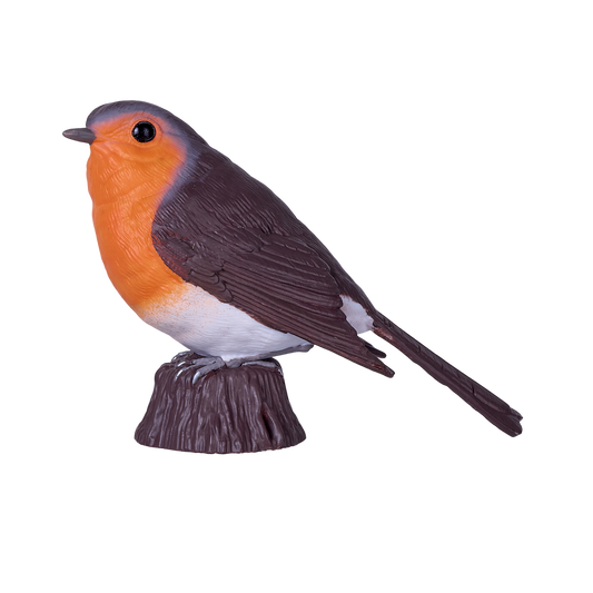 Robin
