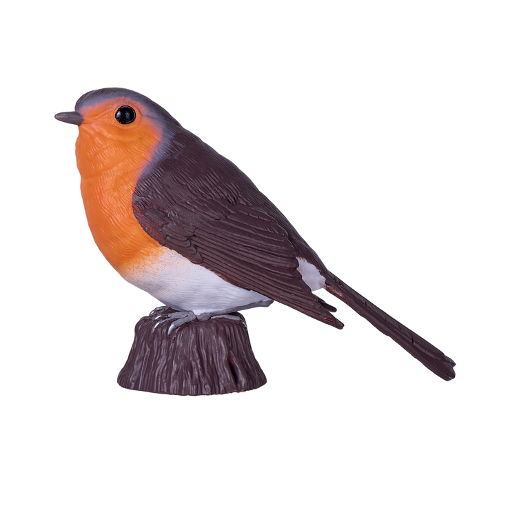 Robin