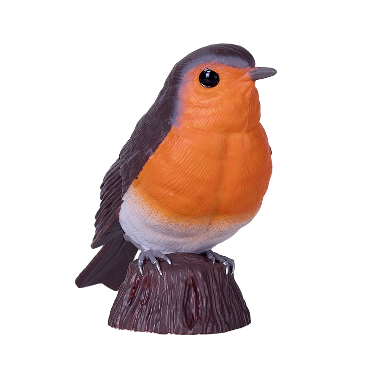 Robin