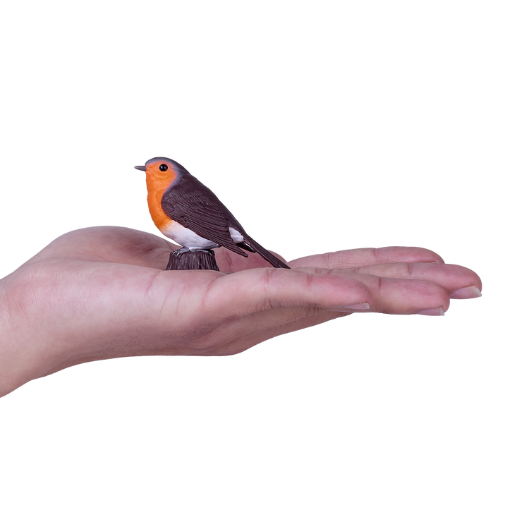 Robin