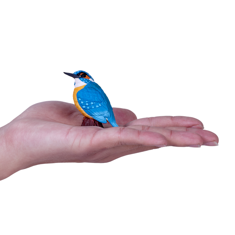 Kingfisher