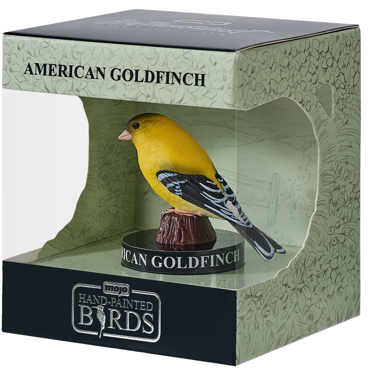 American Goldfinch