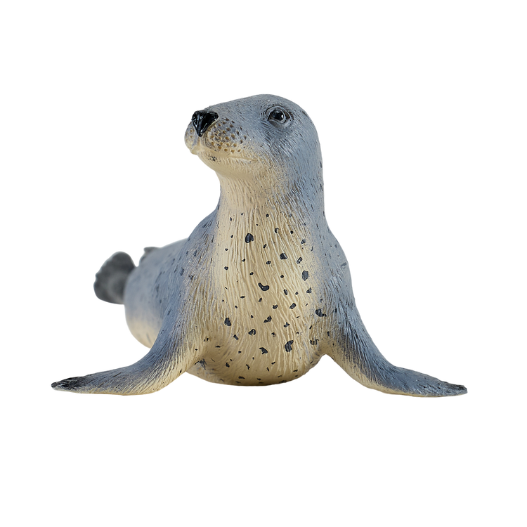 Grey Seal