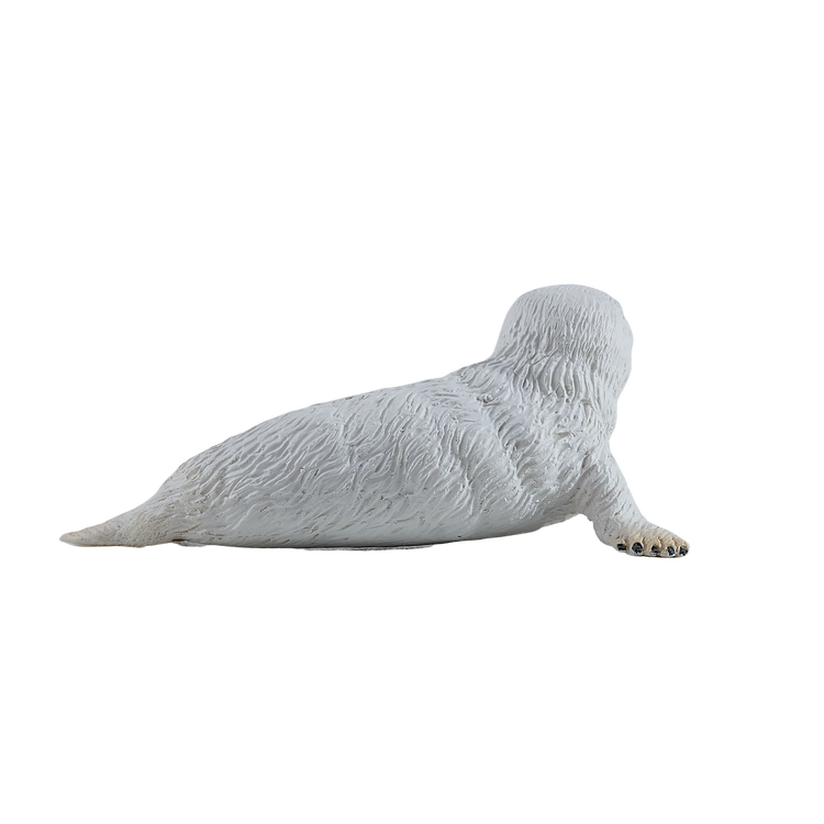 Grey Seal Pup