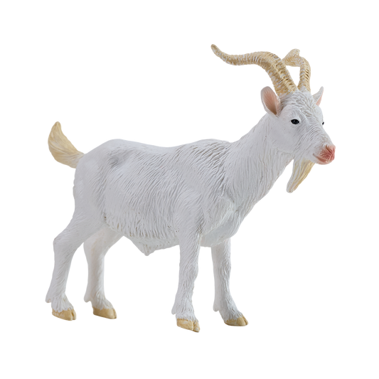 Billy Goat