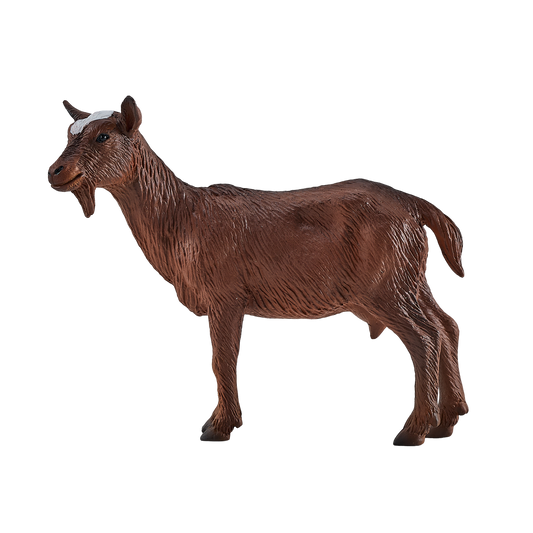 Nanny Goat