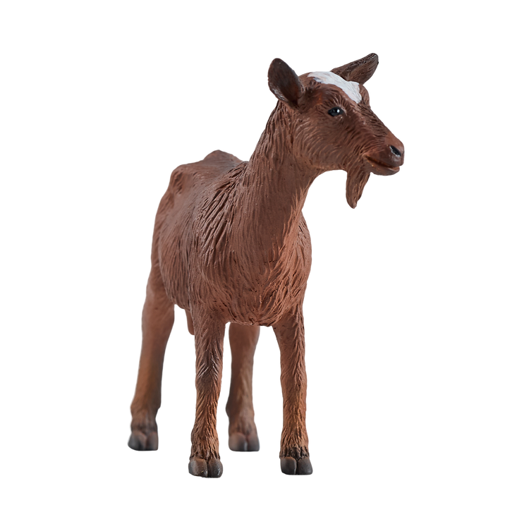 Nanny Goat