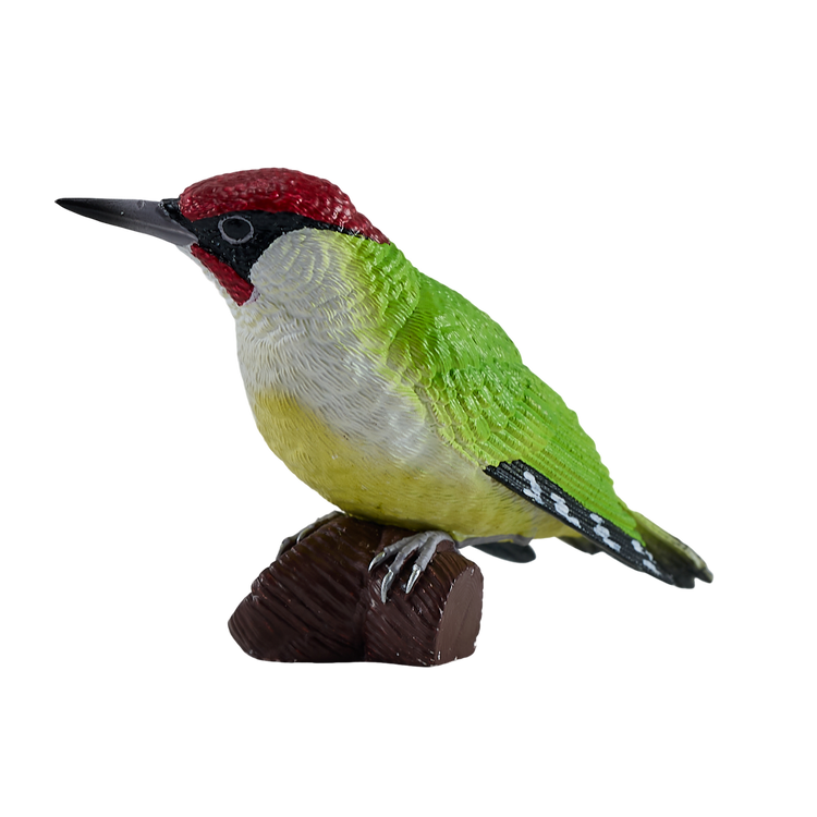 Green Woodpecker