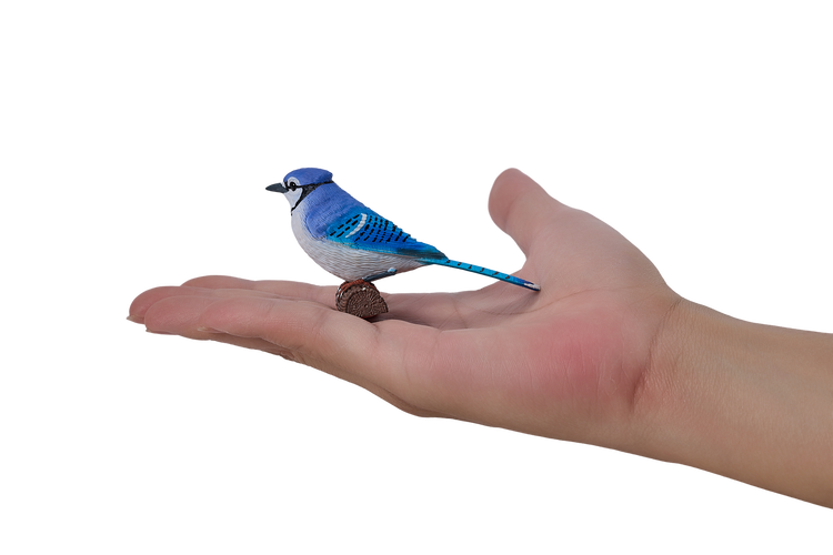 Blue Jay